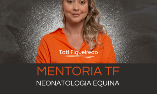 Mentoria para Médicos Veterinários