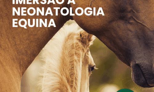 Curso de Imersão a Neonatologia Equina