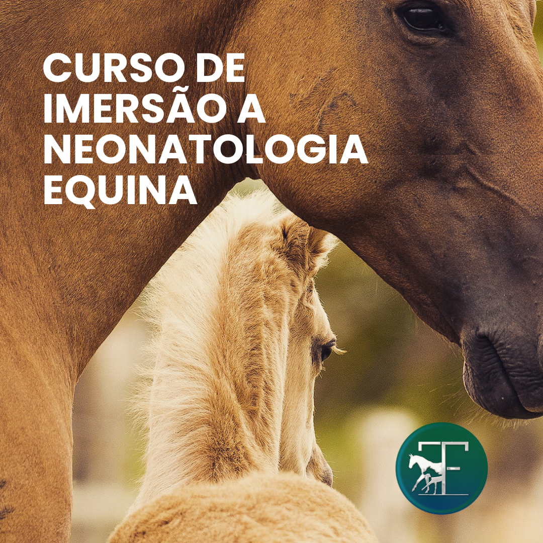Curso de Imersão a Neonatologia Equina