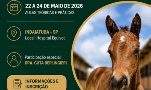 27° Curso Teórico Prático de Neonatologia Equina