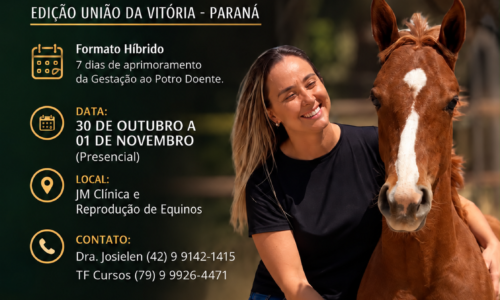 29° Curso Teórico Prático de Neonatologia Equina – Edição Paraná