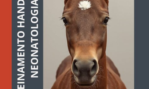HANDS ON – TREINAMENTO NEONATAL PARA GRUPOS